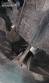 Linha completa autom�tica para envase de azeitonas cogumelos