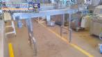 Esteira transportadora 260 mm x 2000 mm inox total